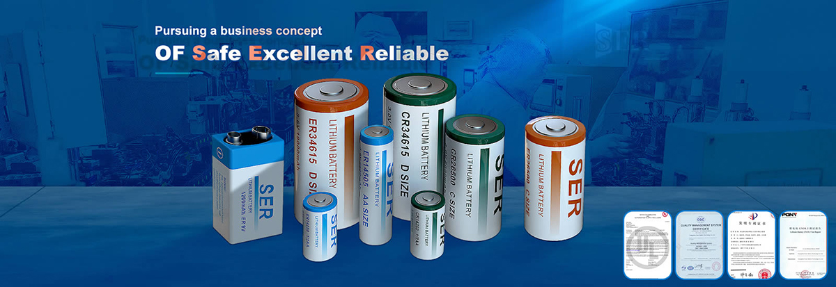 Li-SOCL2 Batteries  Catalogue(图1)