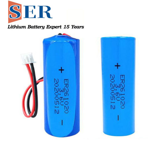 ER261020M BATTERIES.jpg