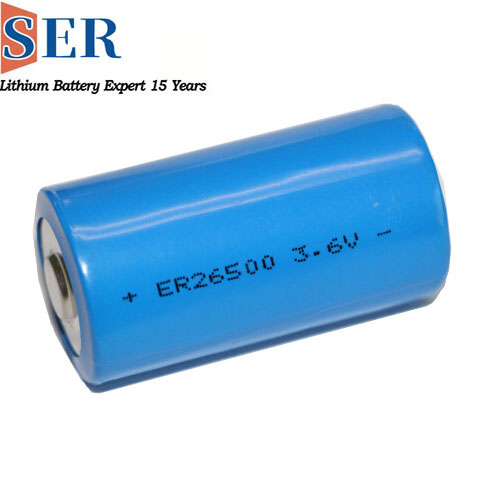 High temperature battery ER26500