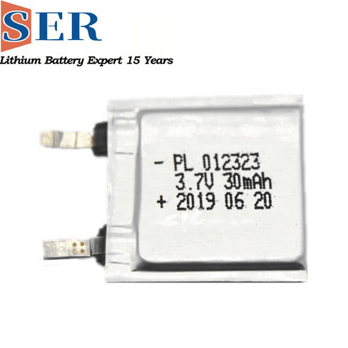 012323 smallest battery