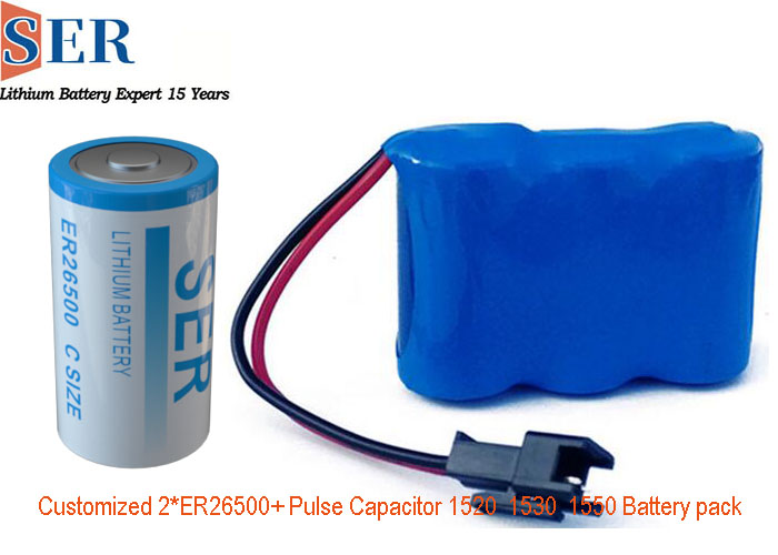 CUSTOMIZED ER26500 BATTERY PACK.jpg