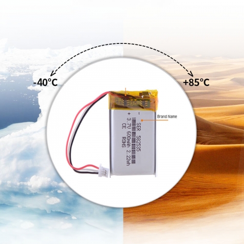 What's a Low temperature lithium battery or cryogenic lithium battery